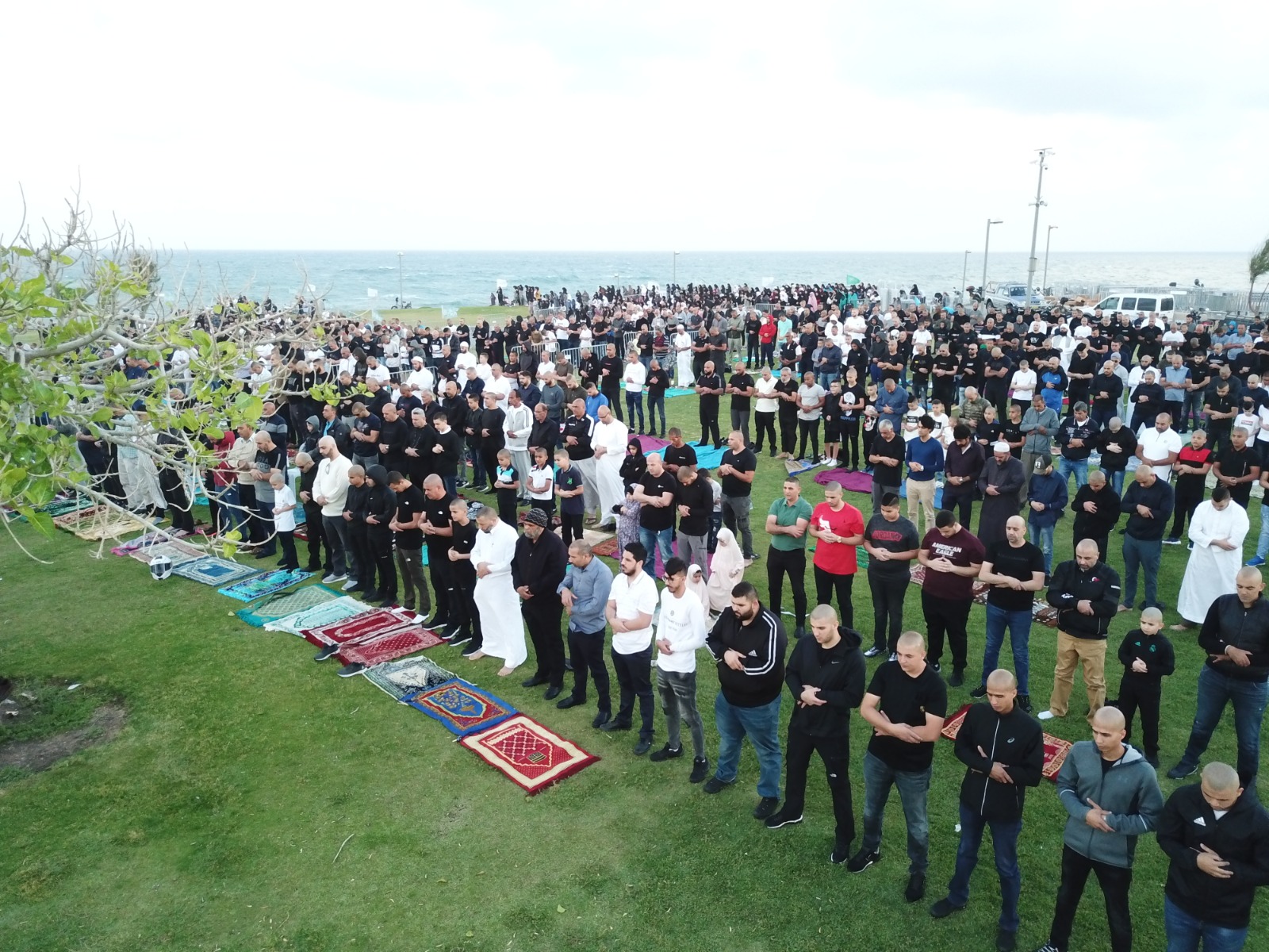 WhatsApp Image 2020-05-24 at 7.56.13 AM (1).jpeg.jpeg